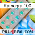 Kamagra 100 28
